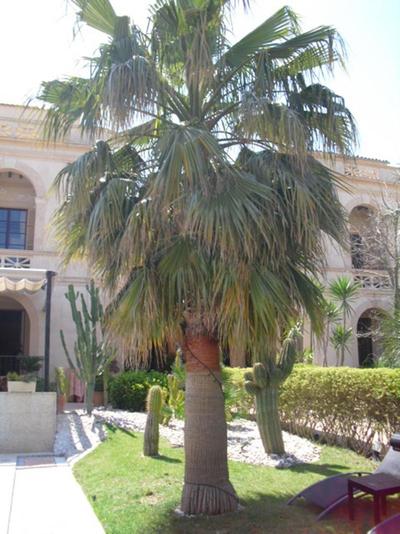Sant Salvador
