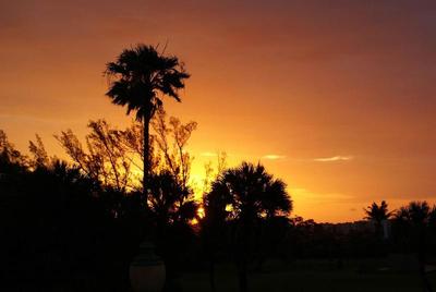 Sabal Palm House