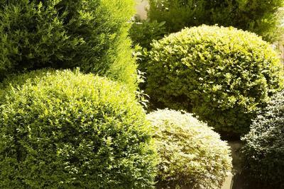 Des Grandes Ecoles