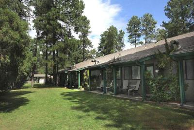 Majestic Mountain Inn
