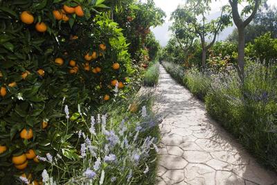 Hotel Finca Ca's Curial