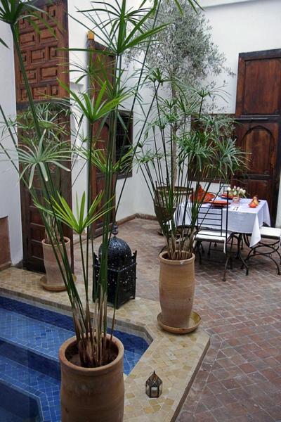 Riad Elixir