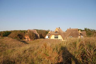 Dünenmeer