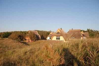 Dünenmeer