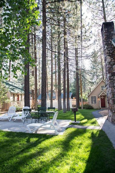Sleepy Forest Cottages