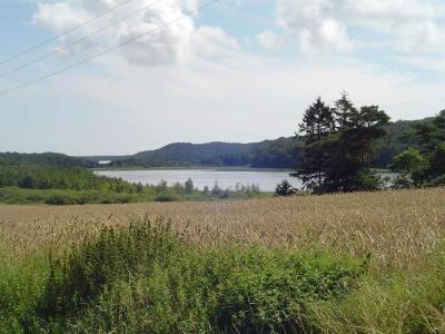 Boddenhof Stedar