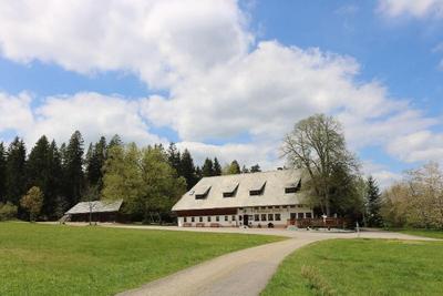 Gasthaus Zur Staude