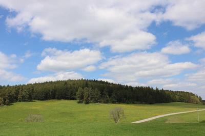 Gasthaus Zur Staude
