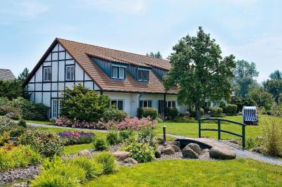 Der Wilde Schwan
