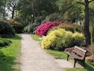 Ostseewoge