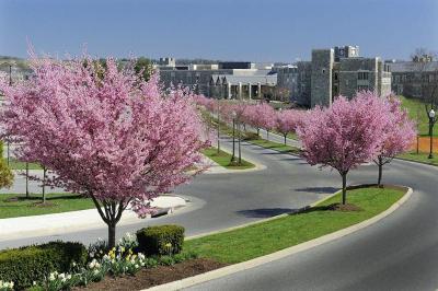 The Inn at Virginia Tech and Skelton Conference