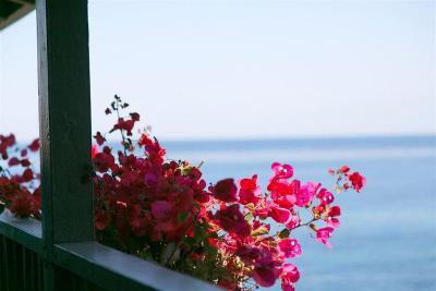 Scripps Inn La Jolla