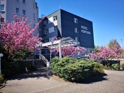 Fortuna Reutlingen Tübingen