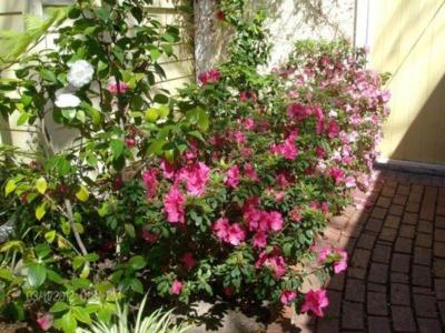 Secret Garden Inn