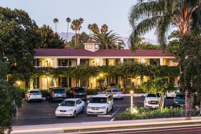 Lavender Inn by the Sea