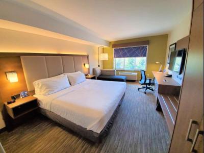 Holiday Inn Express and Suites Seattle North - Lyn