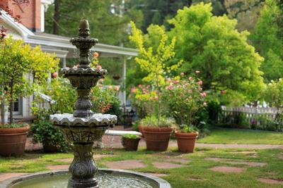 Inn At Occidental Of Sonoma Win
