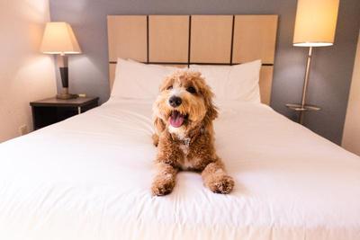 Sonesta Simply Suites Salt Lake City Airport