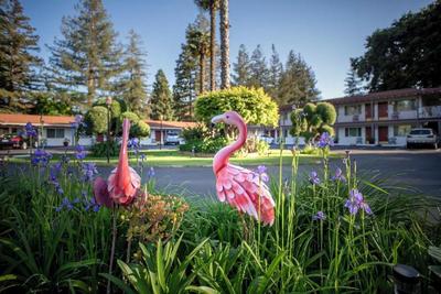 The Palo Alto Inn