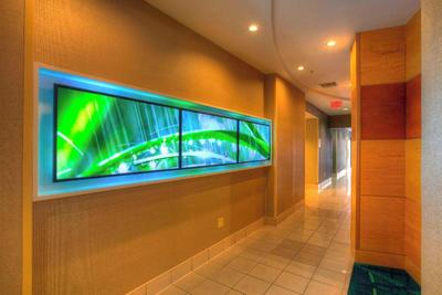 SpringHill Suites Tampa Brandon