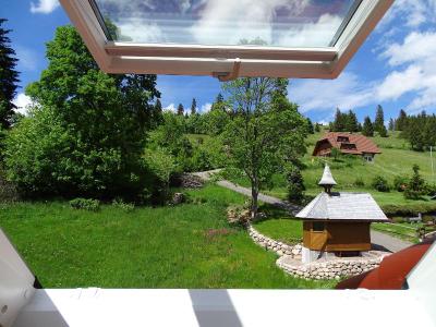 Schwarzwald-Pension Kräutle