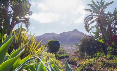 Finca El Picacho