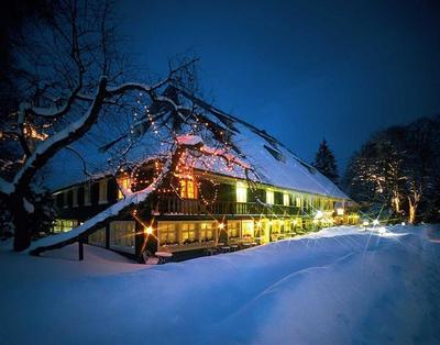Parkhotel Adler