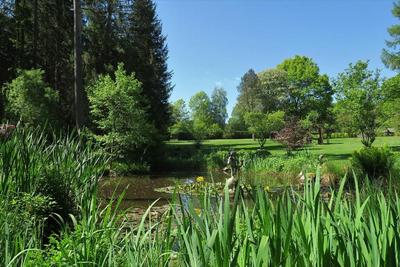 Parkhotel Adler
