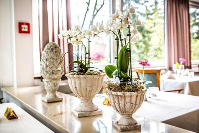 GreenLine Hotel Ascona