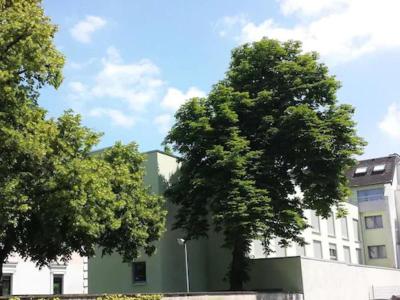 ante porta
