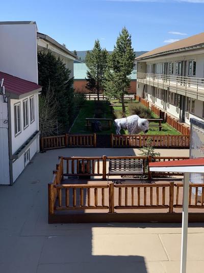 The White Buffalo Hotel