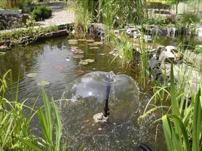 Harsshof