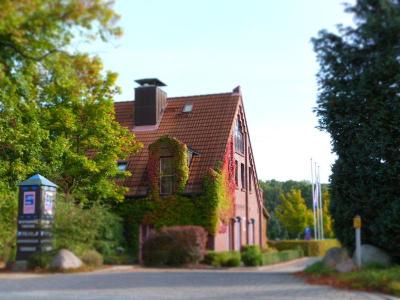 Arte Schwerin