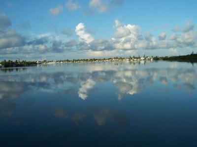 Sea Cove Resort & Marina