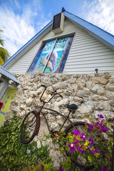 Ibis Bay Beach Resort