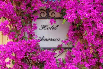 America