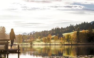 Parkhotel am Soier See