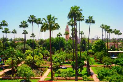 Medina Gardens - Adults Only - All Inclusive