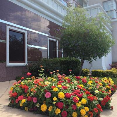 The Grand Hotel Silicon Valley