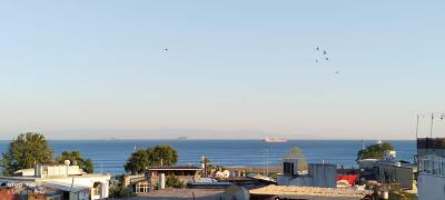 Raimond hotel