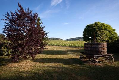 Kyriad Prestige Le Panorama Beaune