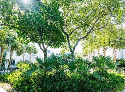 Faro Blanco Resort & Yacht Club Marathon, Curio