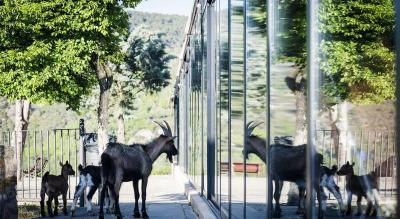 Camping & Bungalows Ligüerre de Cinca