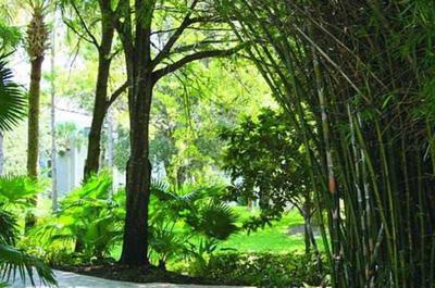 Marriott's Cypress Harbour Villas