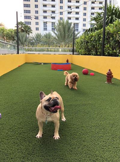 Hyatt Centric South Beach Miami
