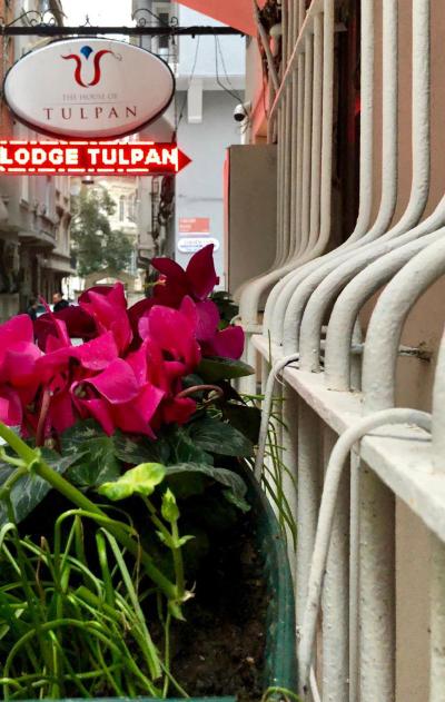 The House Of Tulpan