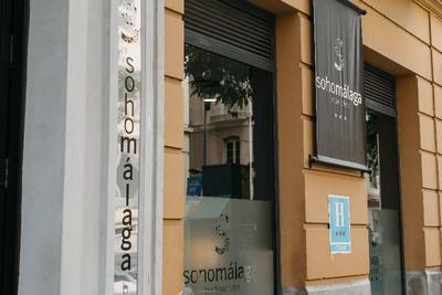 Hotel Soho Boutique Malaga