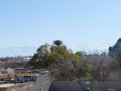 Riad Anya
