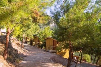 Tree House Kabak