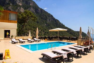 Tree House Kabak